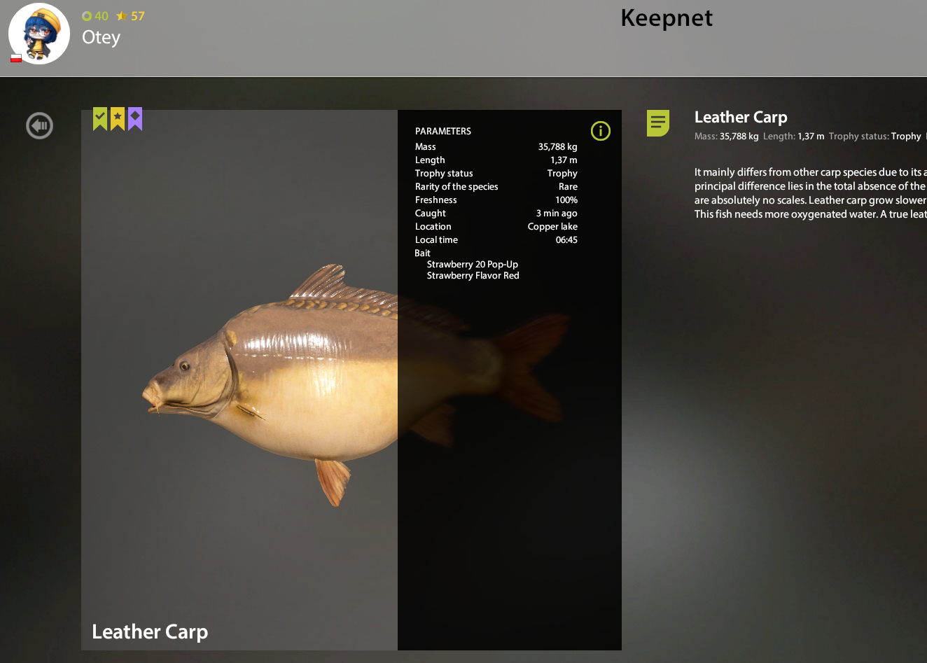 Leather Carp | Poland | Bottom Fishing
