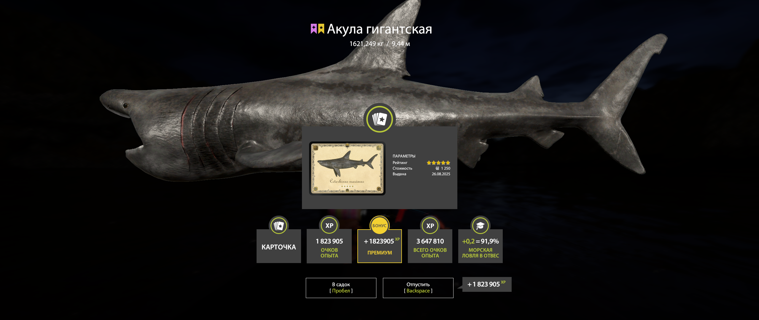 Basking shark | Russia and CIS countries | Marine Fishing
