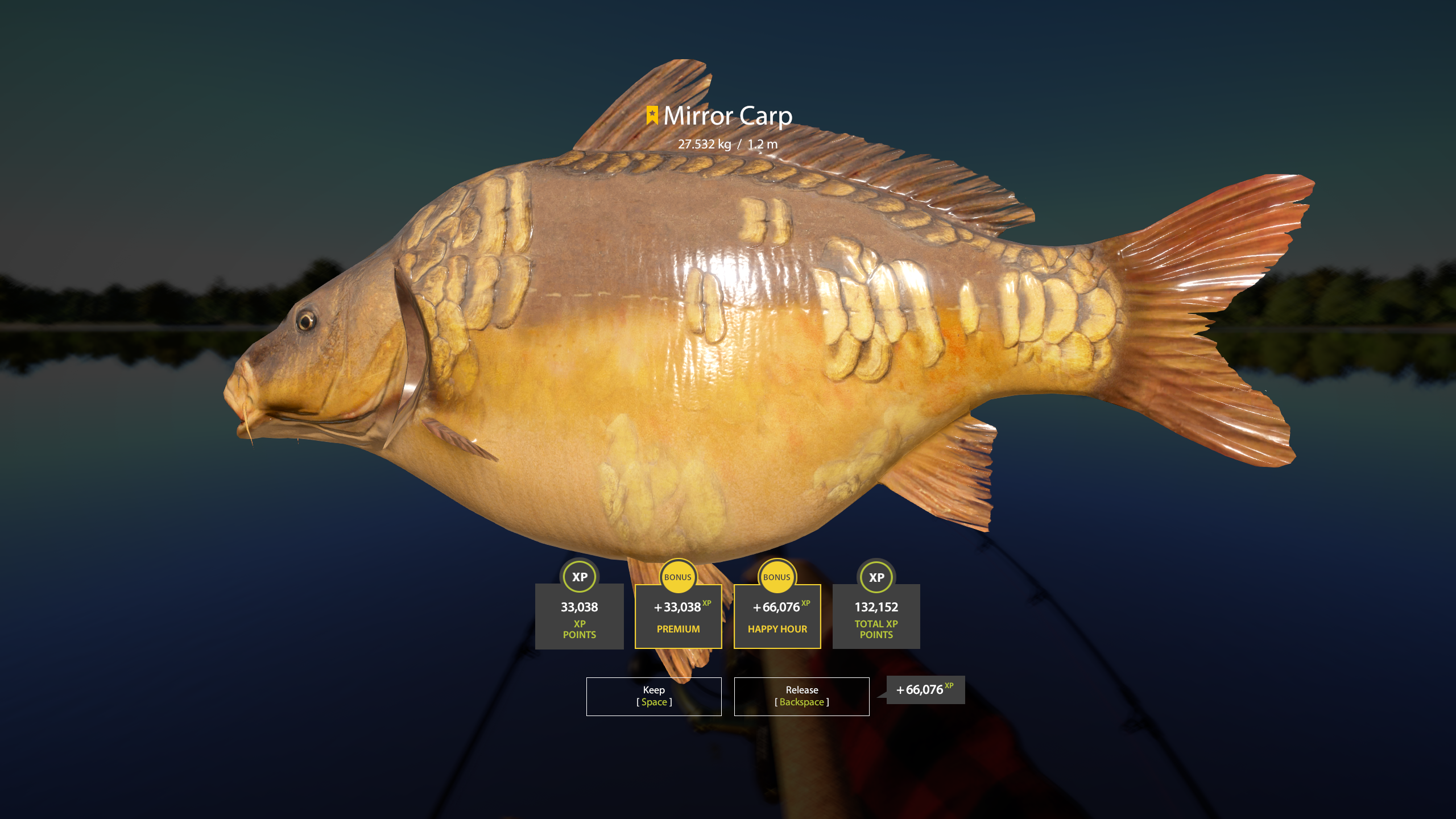 Mirror Carp | USA | Bottom Fishing