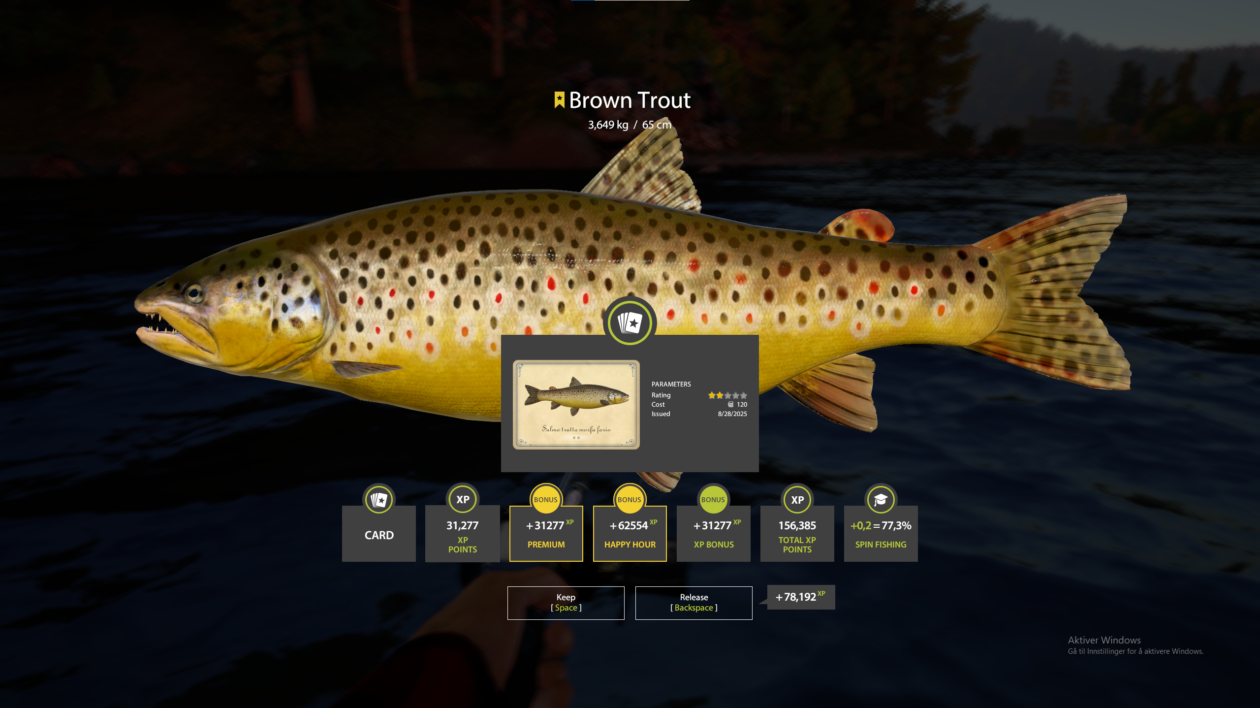 Brown Trout | International | Spinning