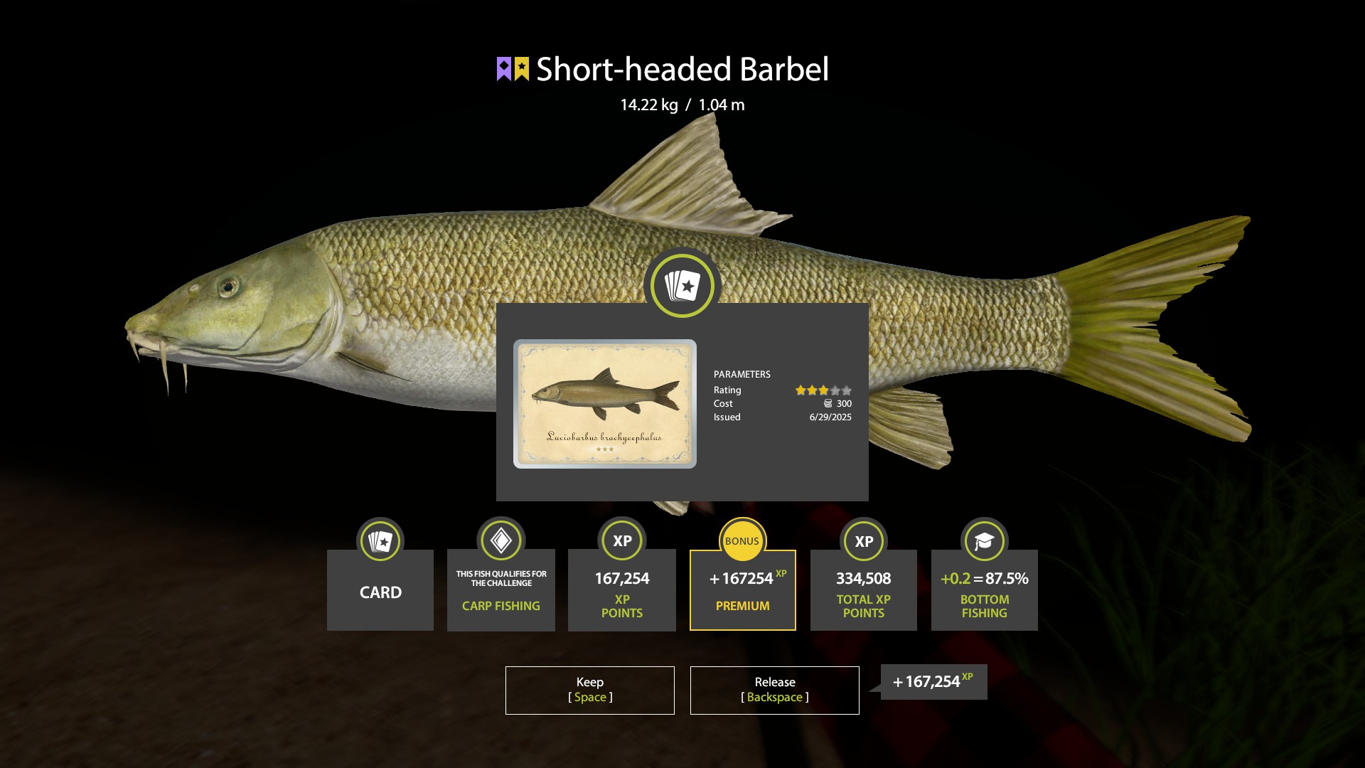 Short-headed Barbel | Other Countries | Bottom Fishing