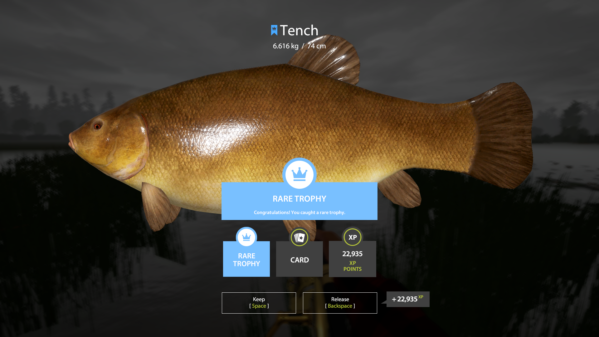 Tench | Other Countries | Bottom Fishing