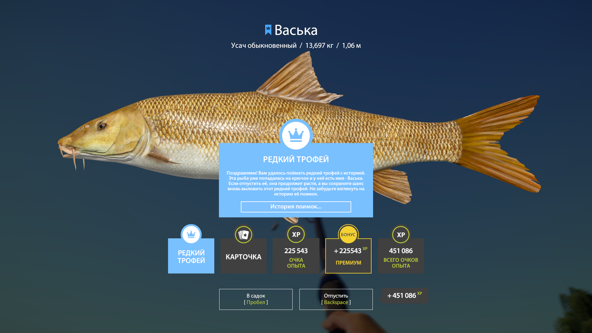 Common Barbel | Russia and CIS countries | Bottom Fishing