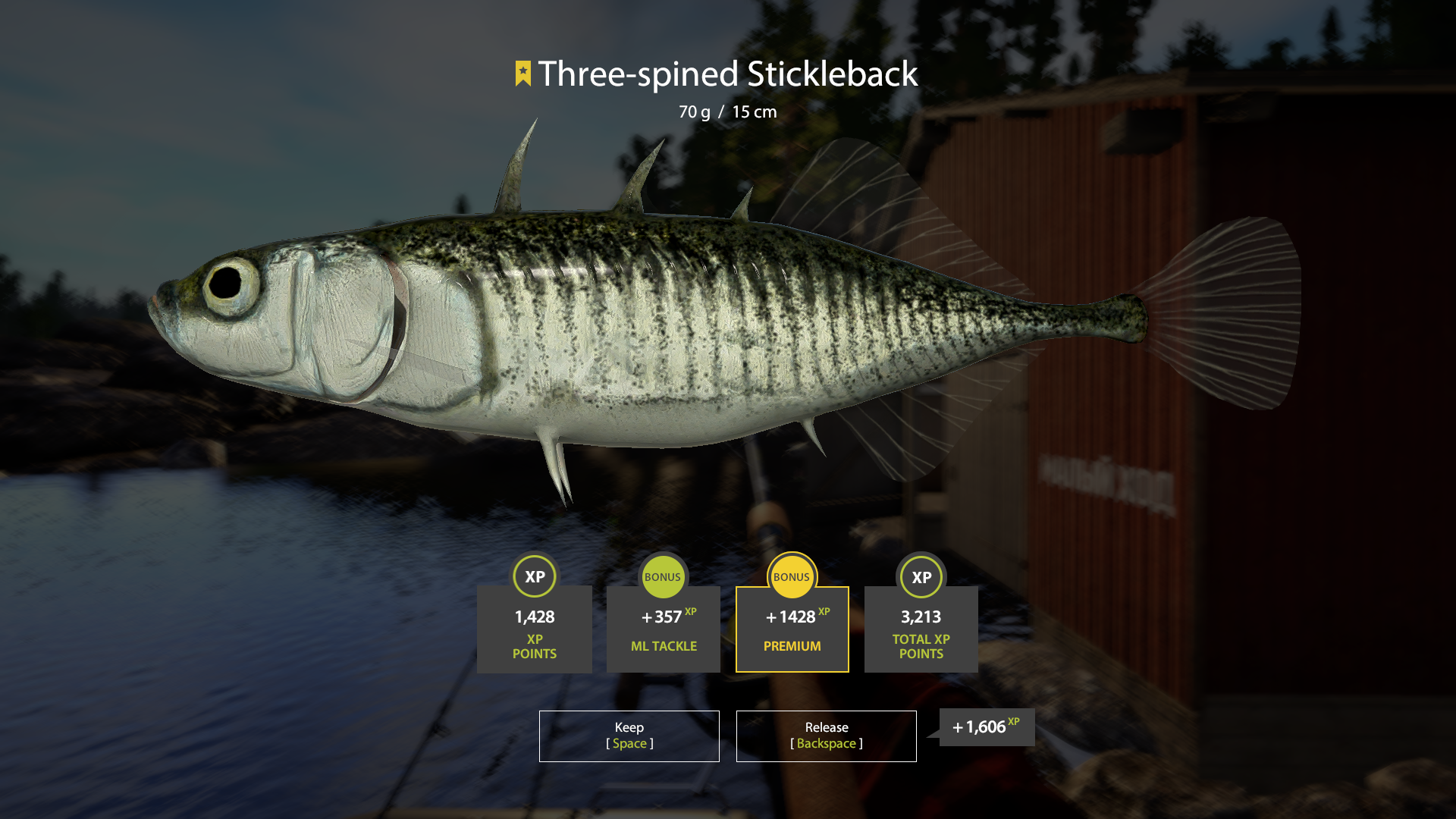 Trophy Ladoga Lake