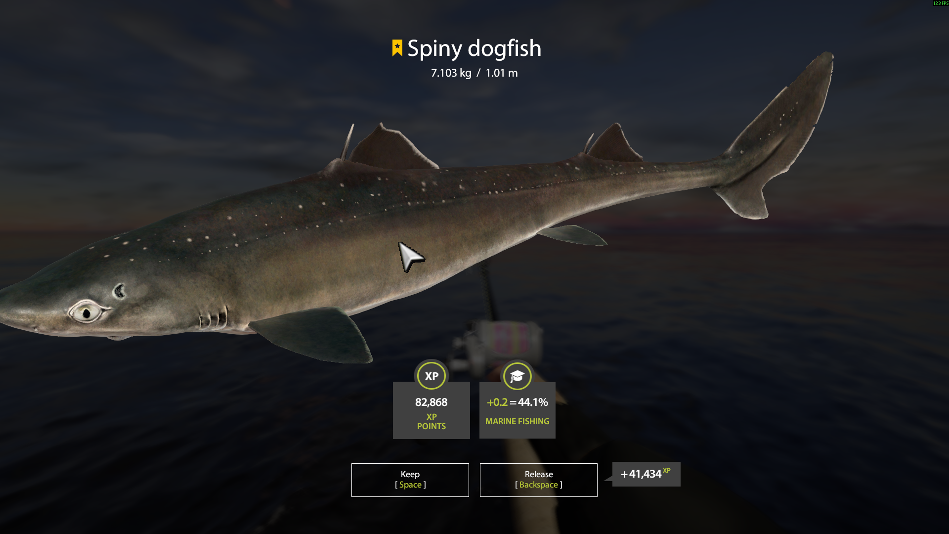 Spiny dogfish | USA | Marine Fishing