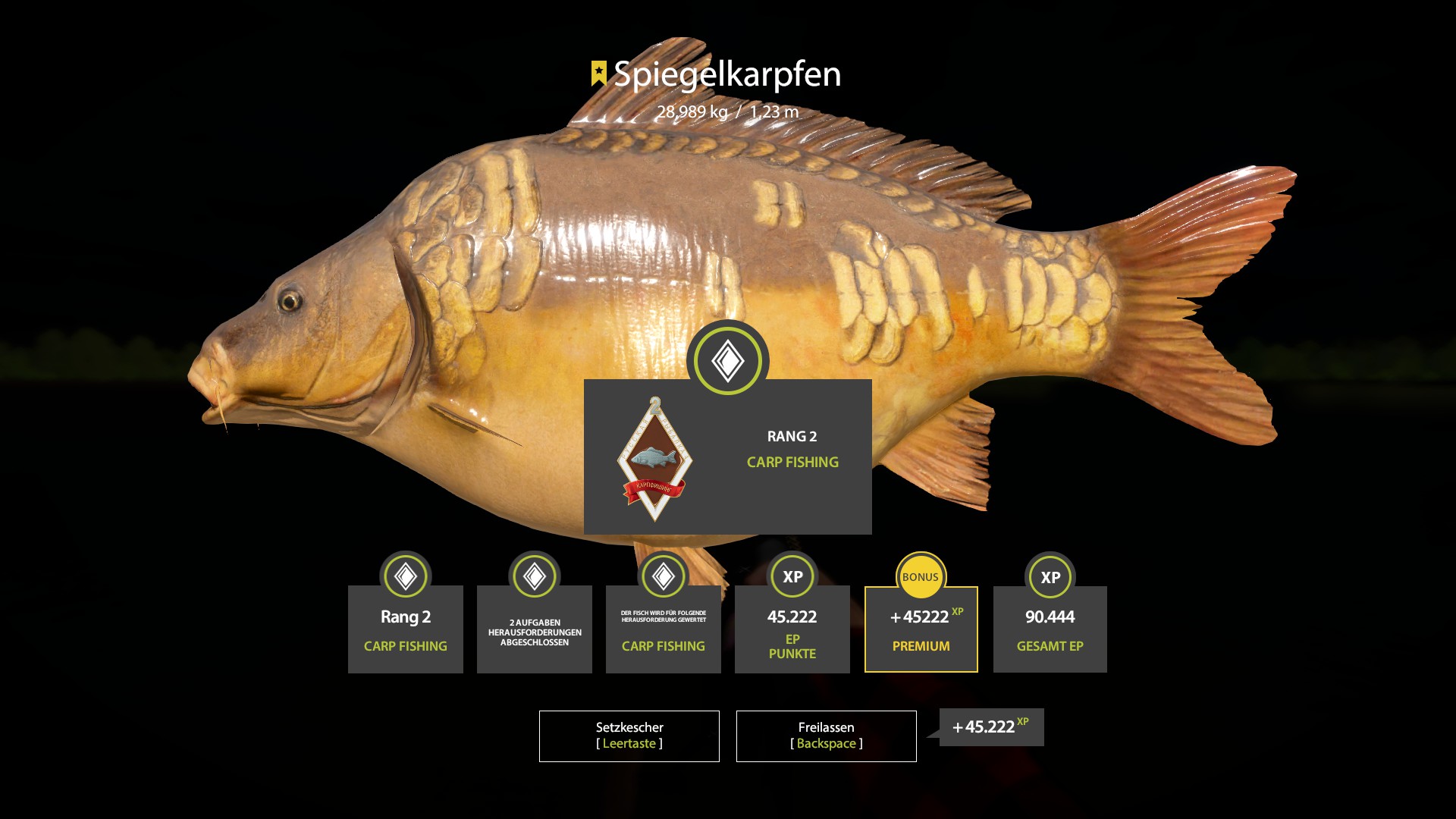 Mirror Carp | Germany | Bottom Fishing
