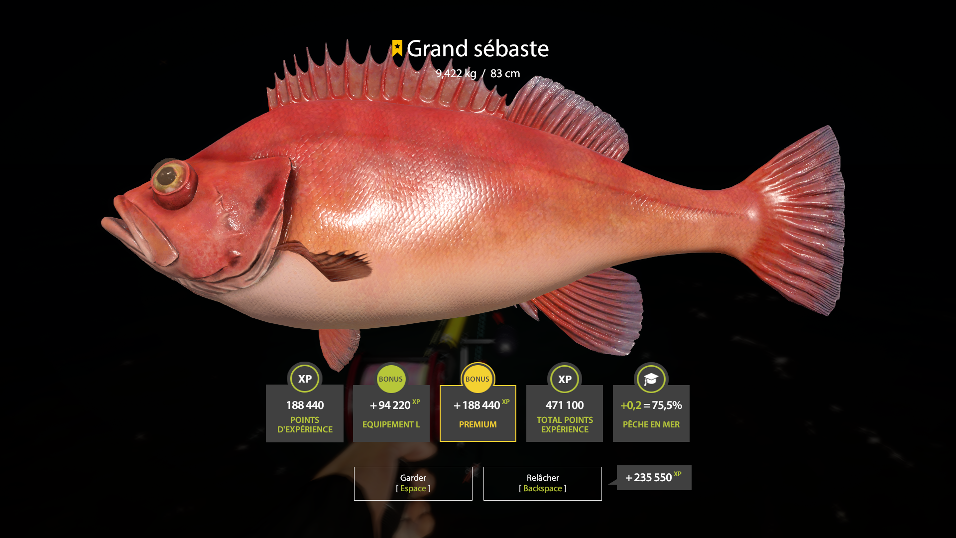 Beaked redfish | France | Marine Fishing