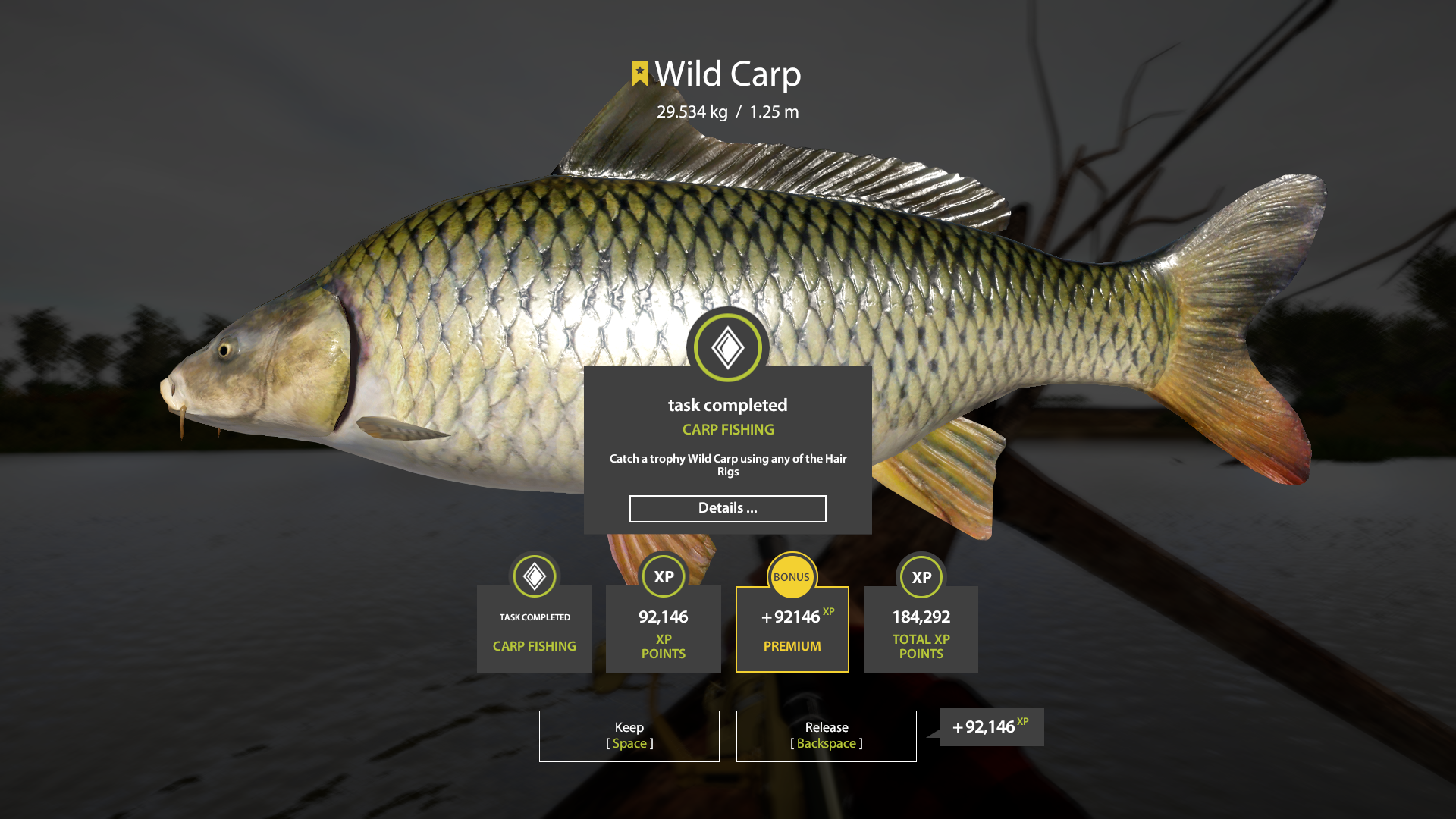Wild Carp | Other Countries | Bottom Fishing
