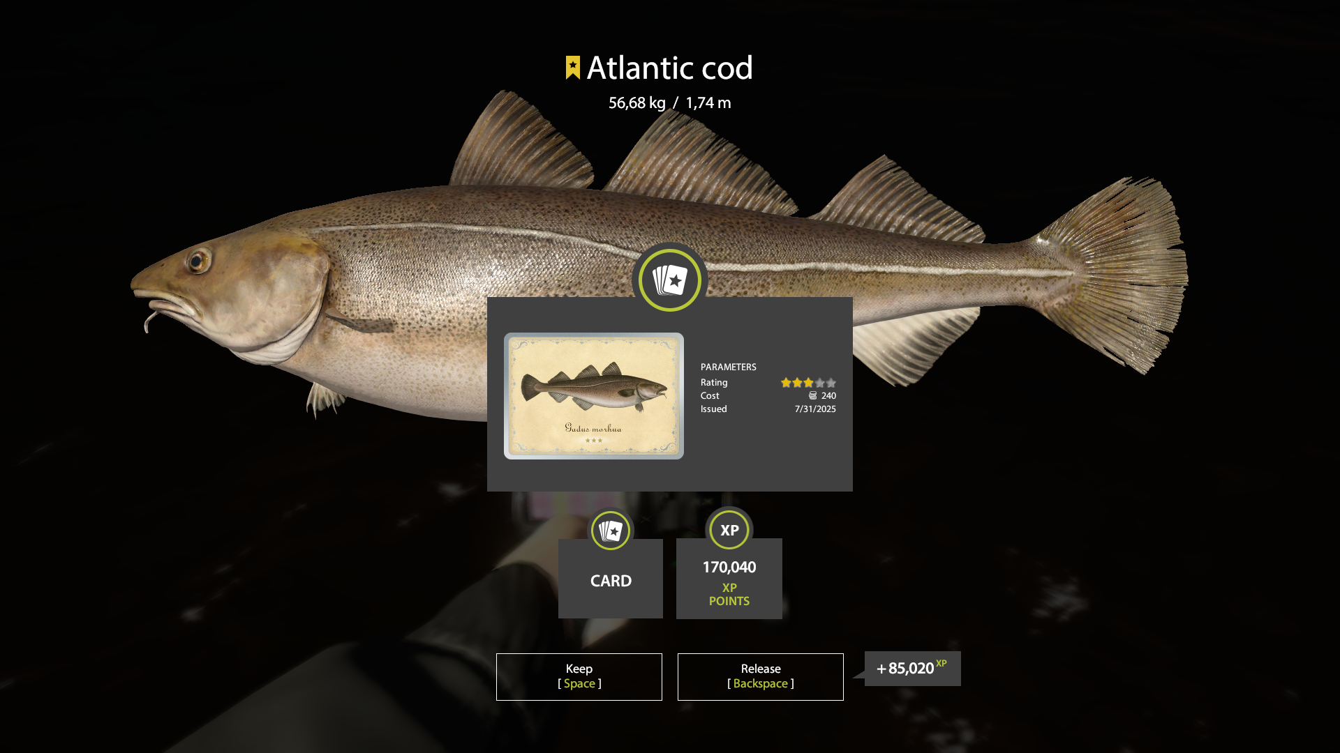 Atlantic cod | Other Countries | Marine Fishing