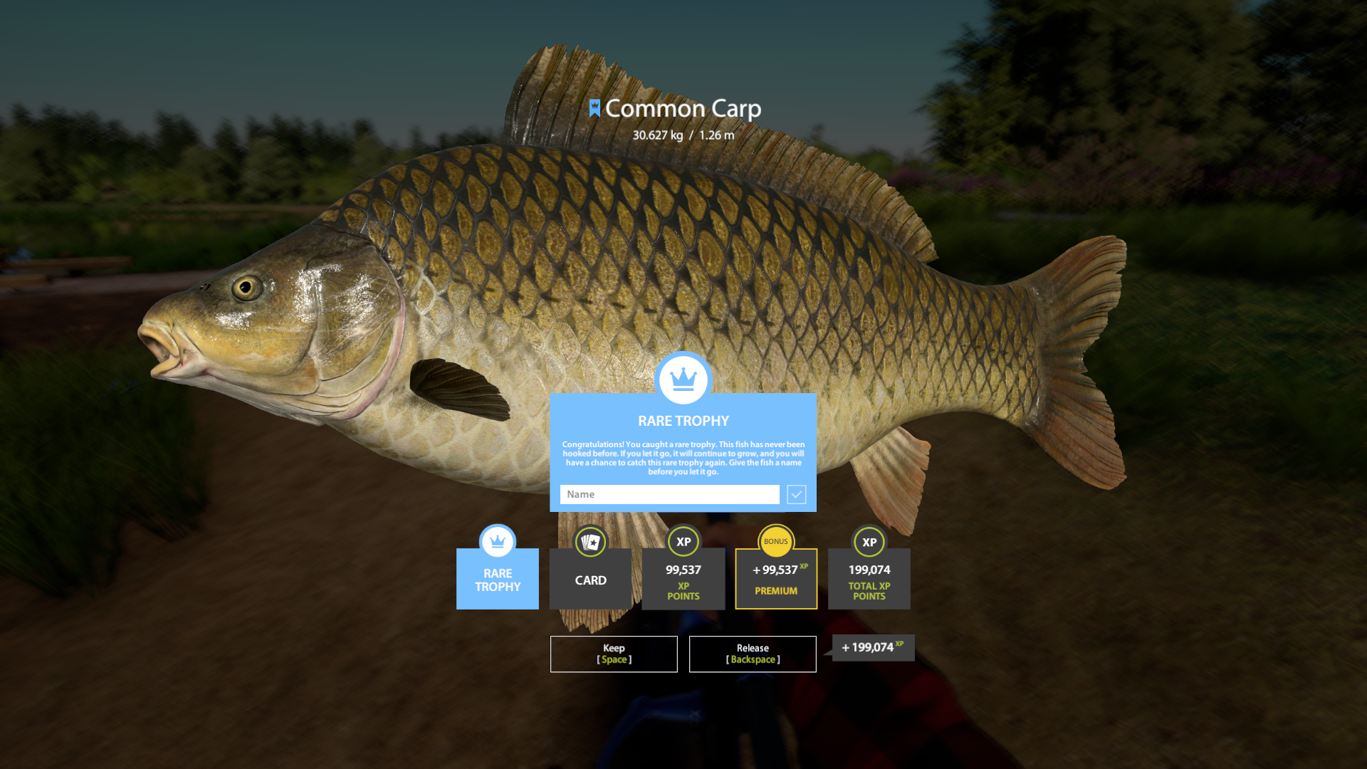 Common Carp | Other Countries | Bottom Fishing