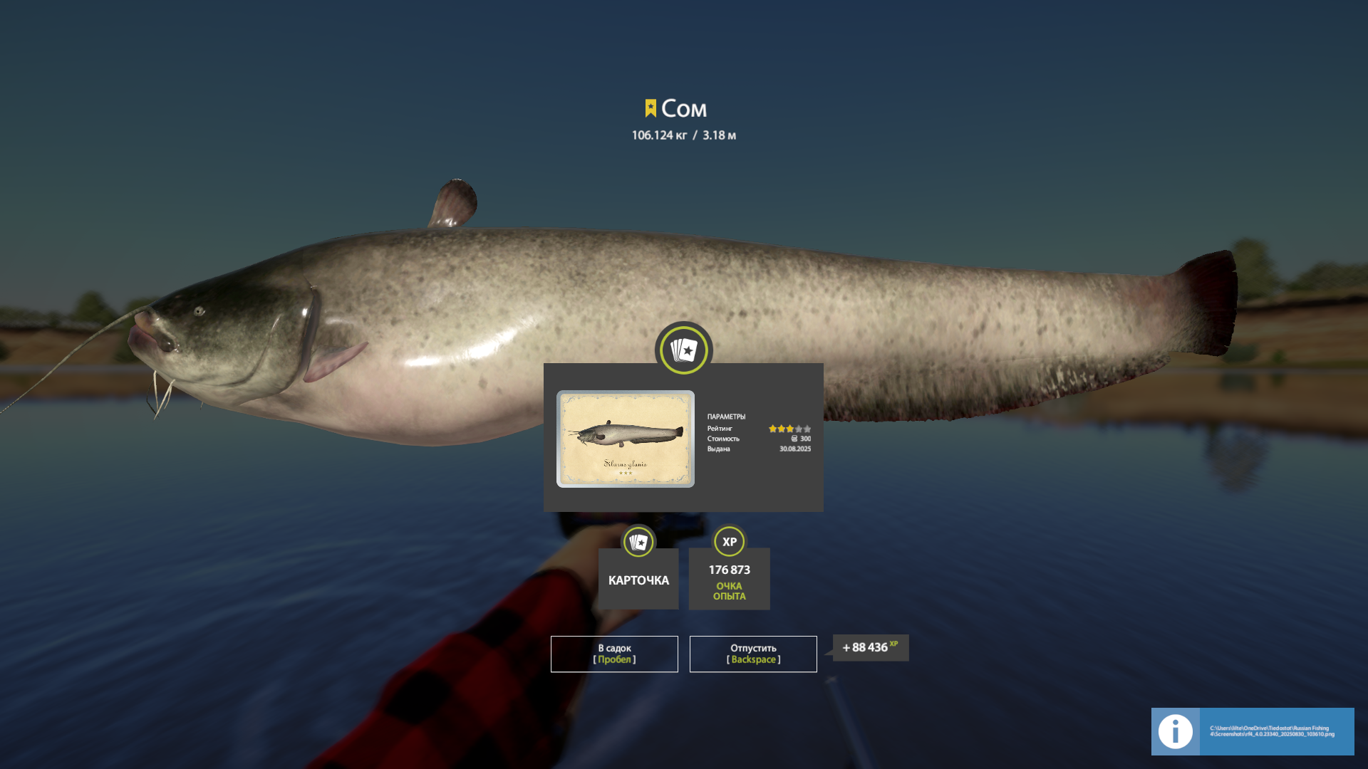 Catfish | Russia and CIS countries | Spinning