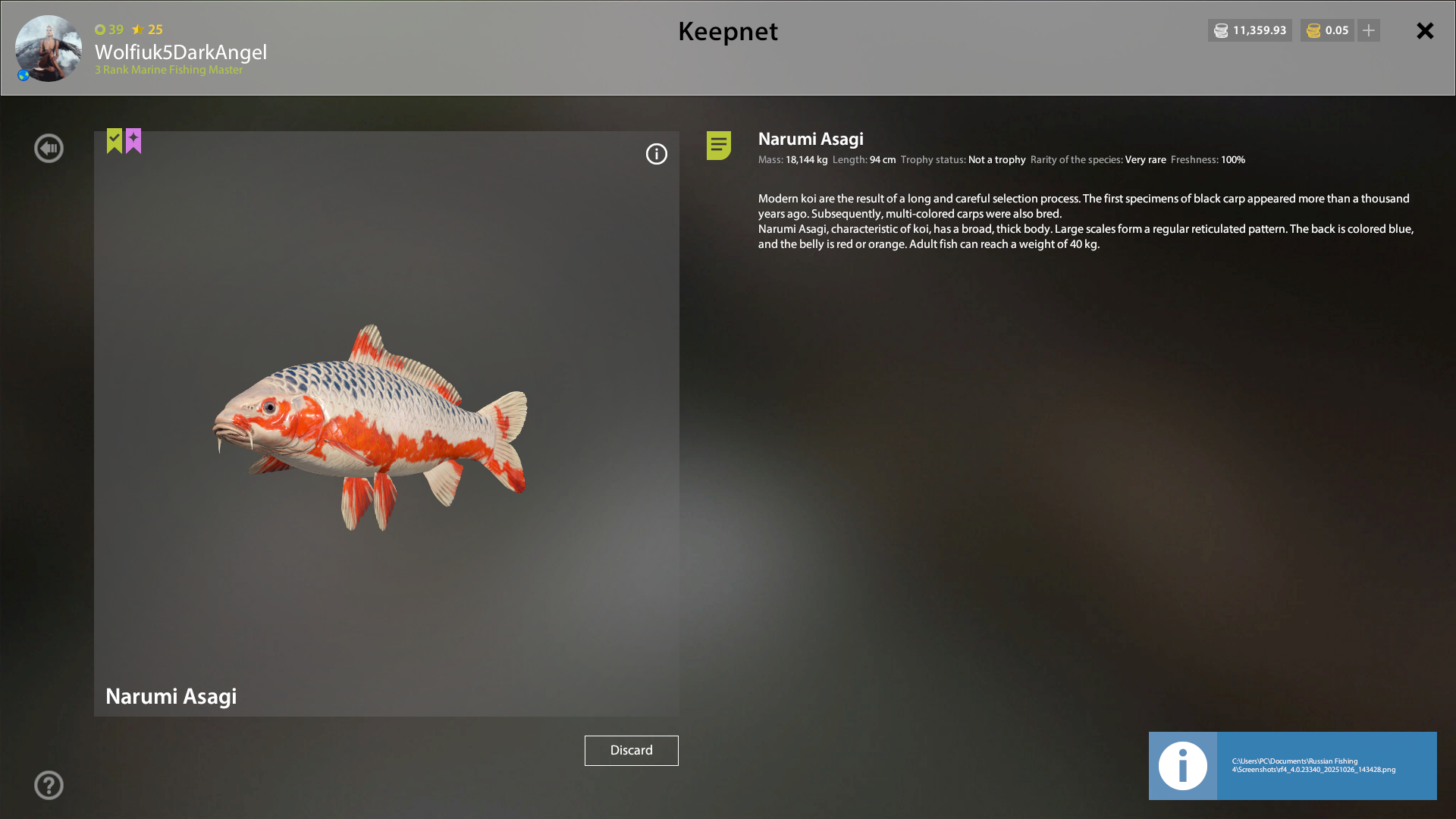 Dinks mirror carp | Other Countries | Bottom Fishing