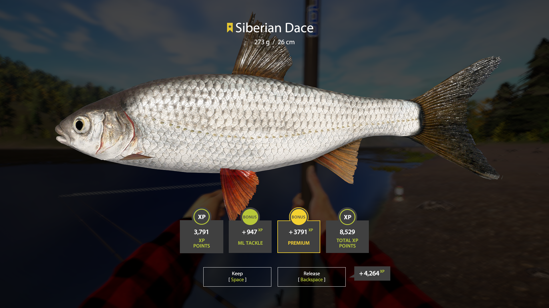 Siberian Dace | Other Countries | Float Fishing