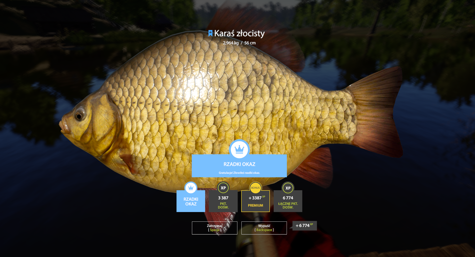 Crucian Carp | Poland | Bottom Fishing