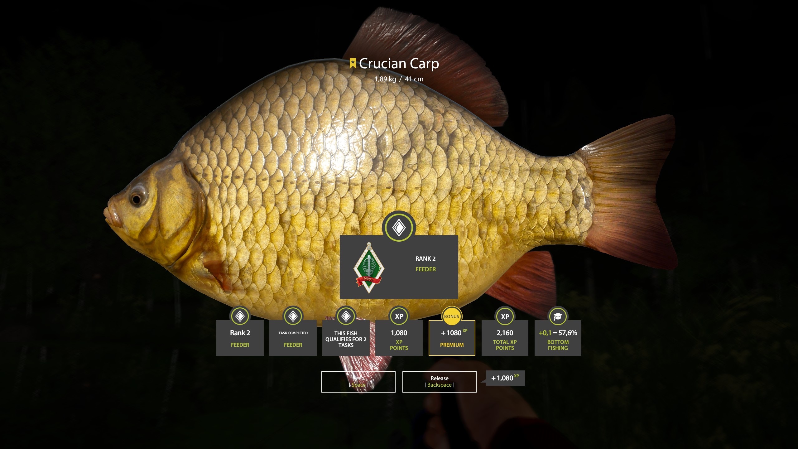 Crucian Carp | Other Countries | Bottom Fishing