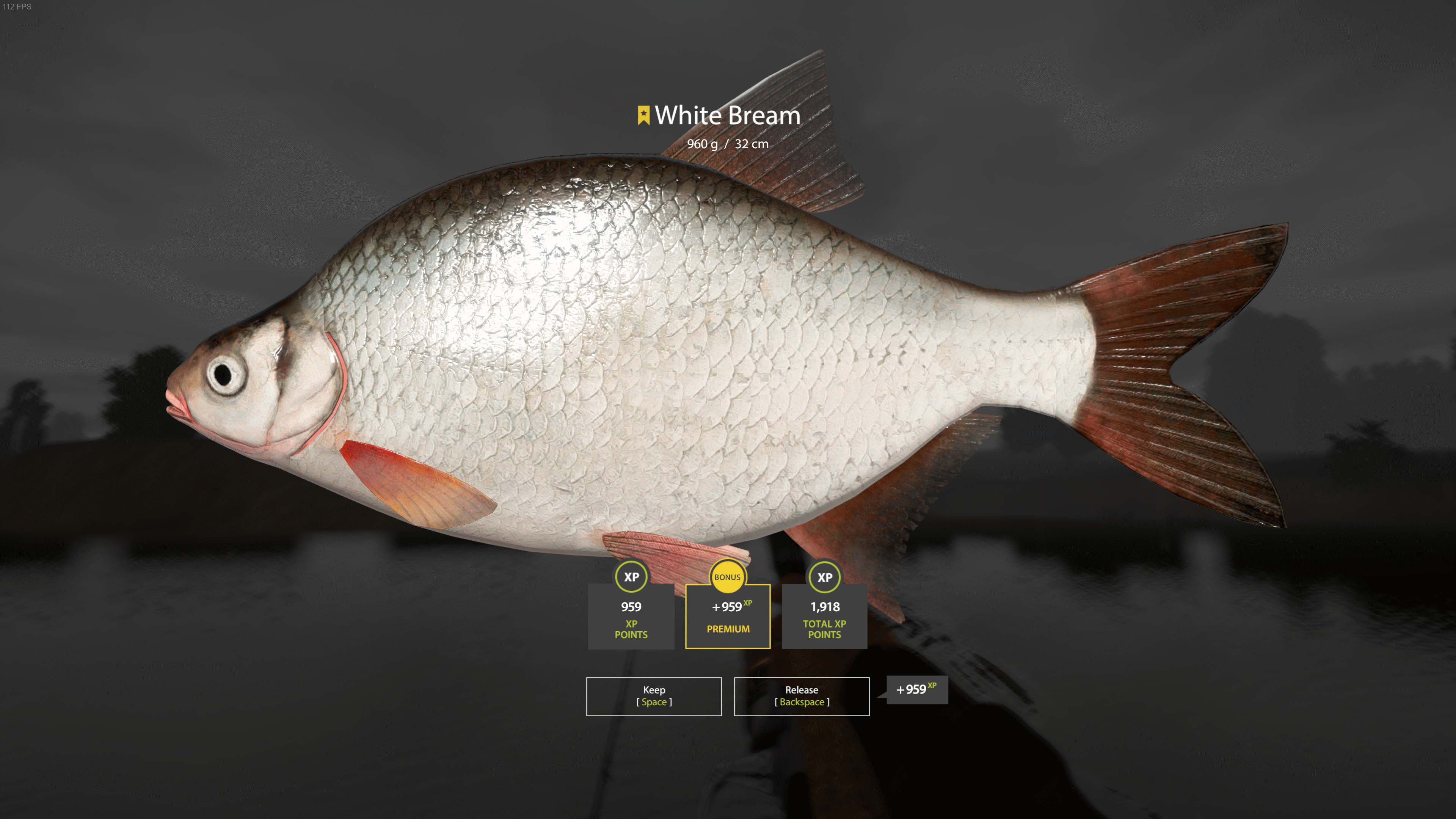 Bream | Other Countries | Bottom Fishing