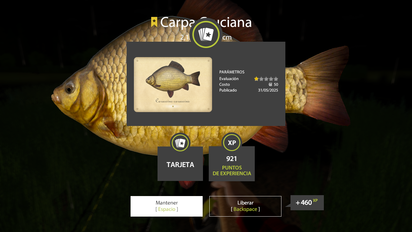 Crucian Carp | Other Countries | Bottom Fishing