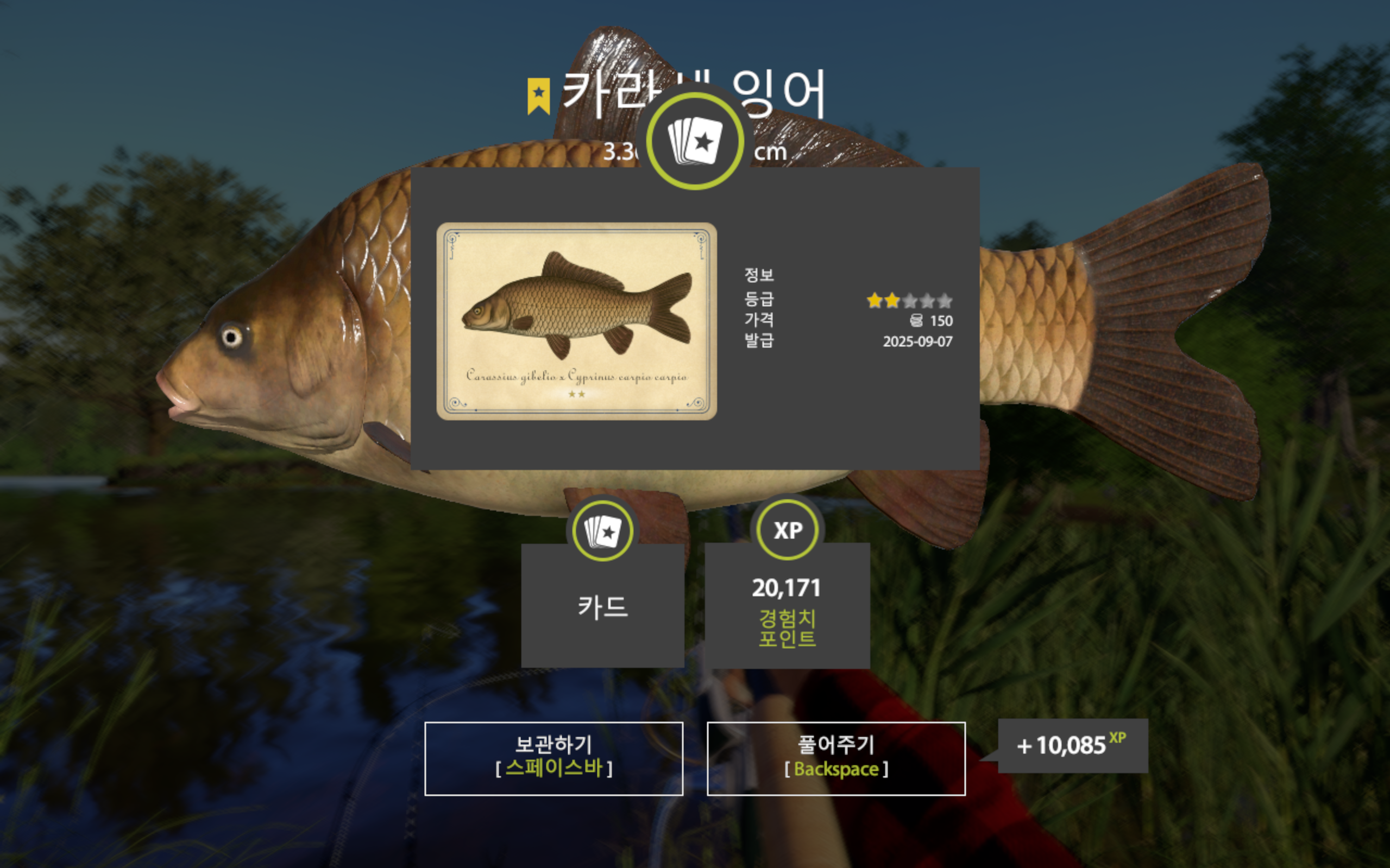 F1 | Korea | Bottom Fishing