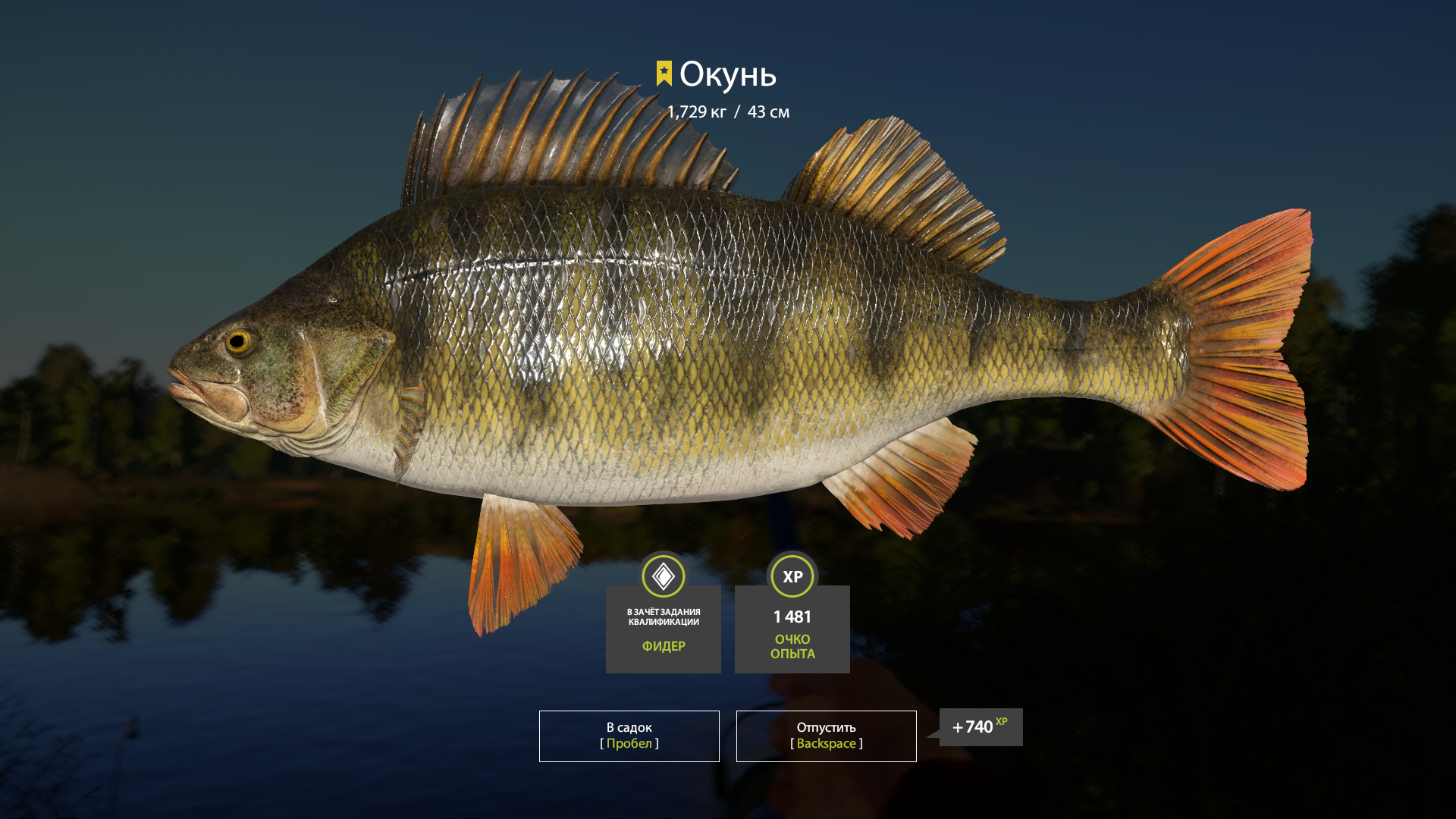 Perch | Other Countries | Bottom Fishing