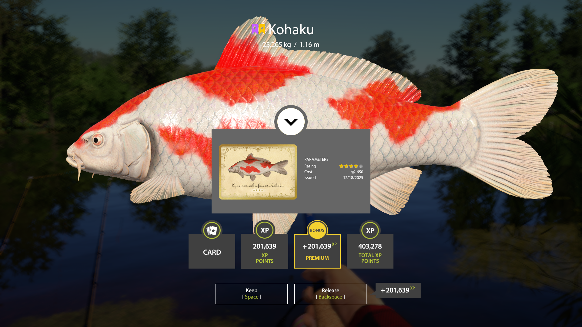 Kohaku | Other Countries | Bottom Fishing