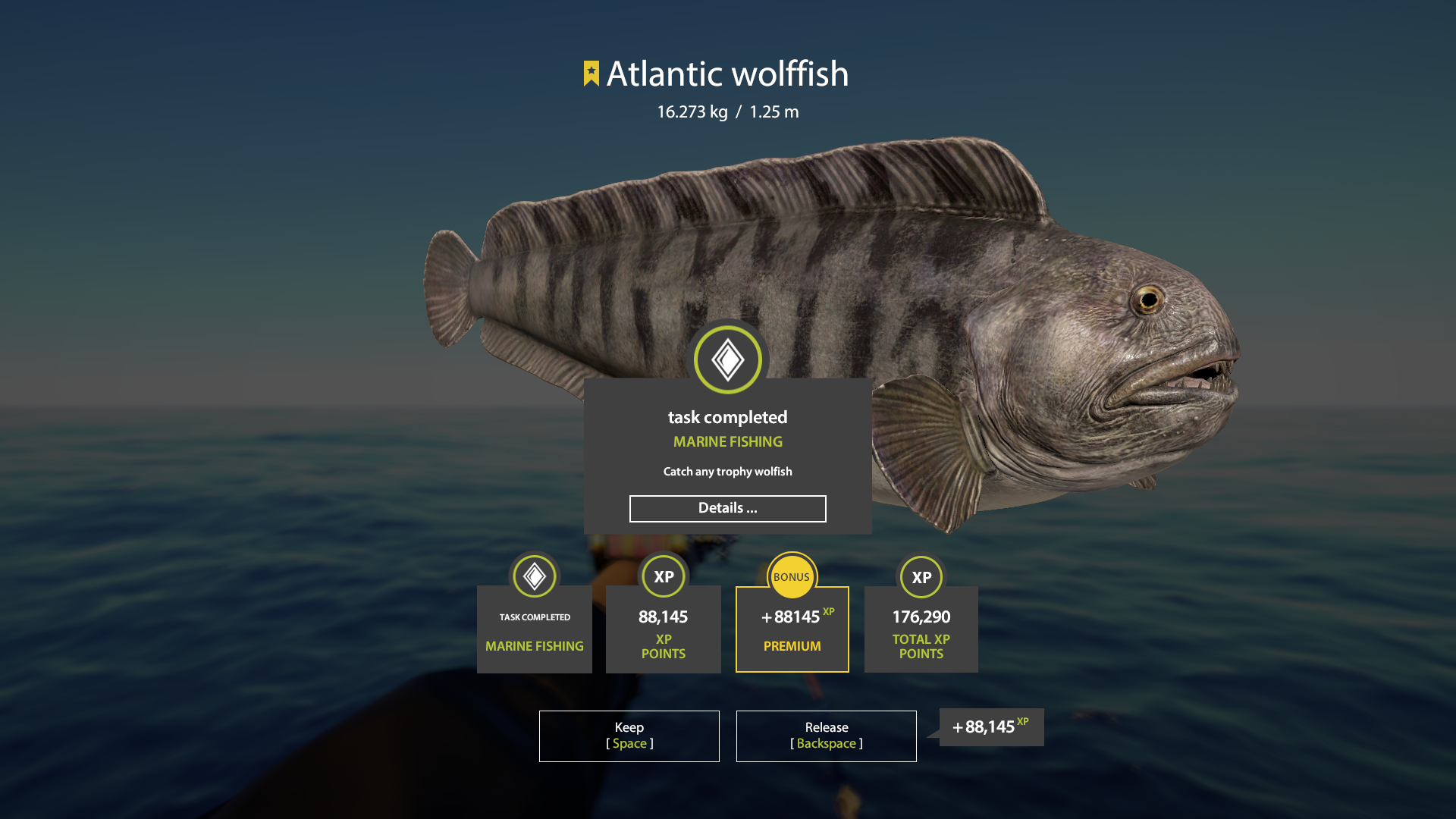 Atlantic wolffish | Other Countries | Bottom Fishing