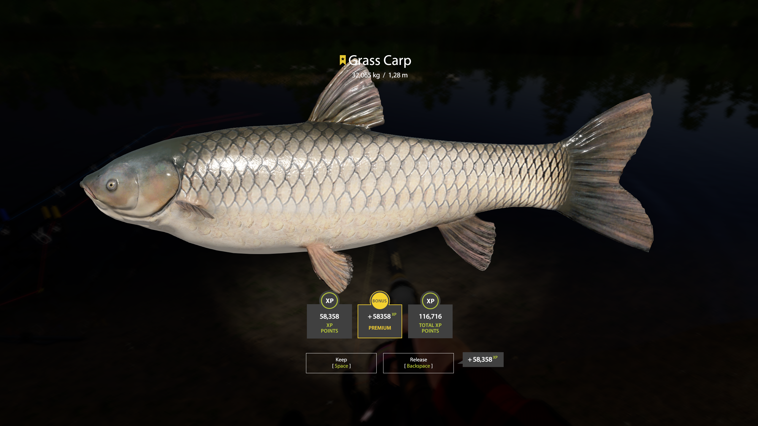 Trophy Bear Lake