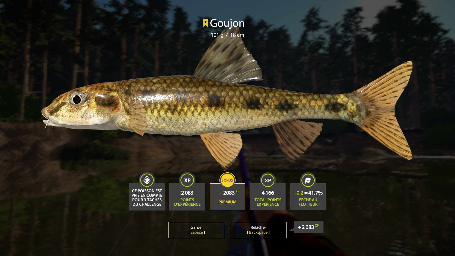 Gudgeon | France | Match Rod Fishing