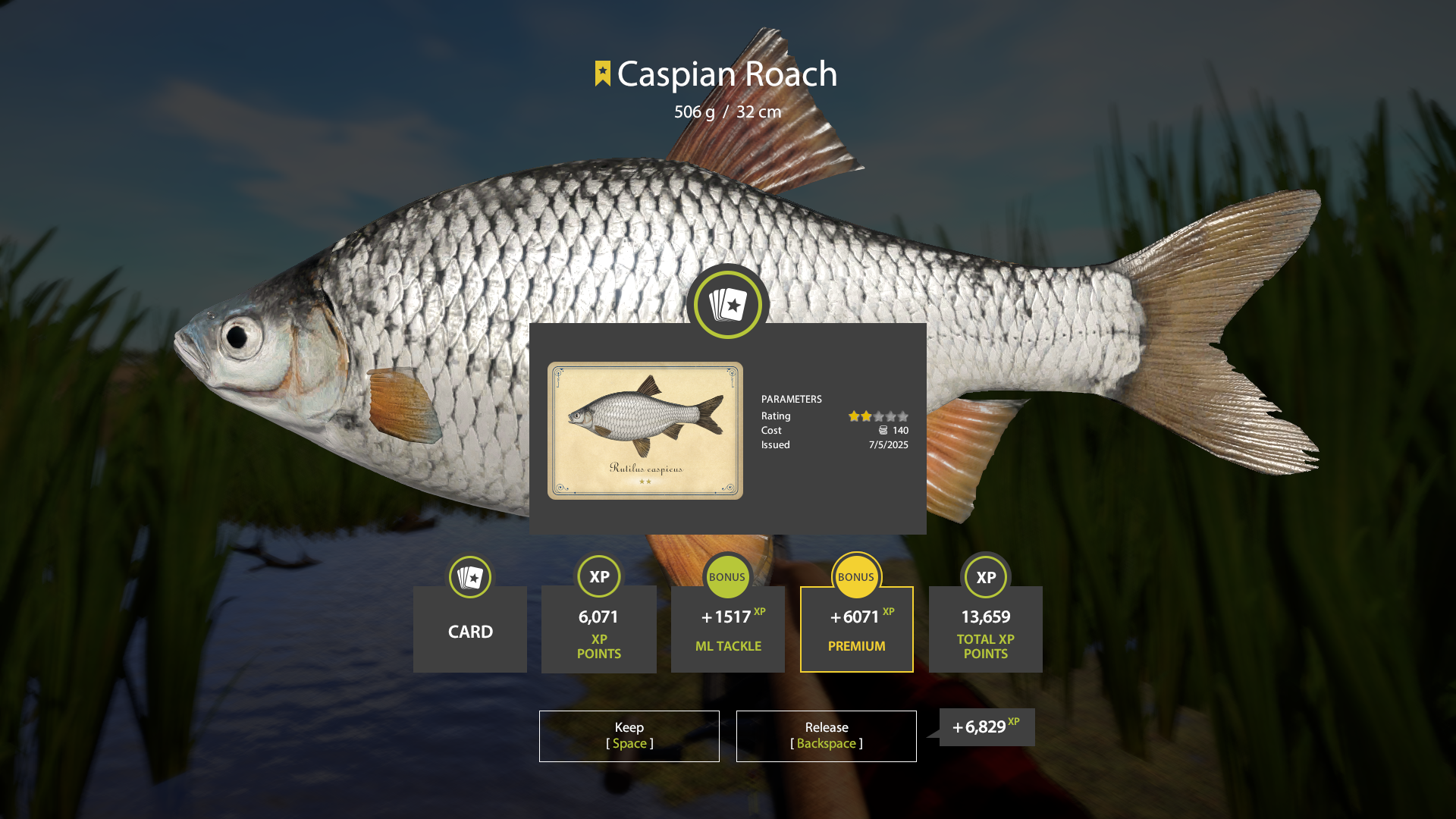 Caspian Roach | Other Countries | Bottom Fishing