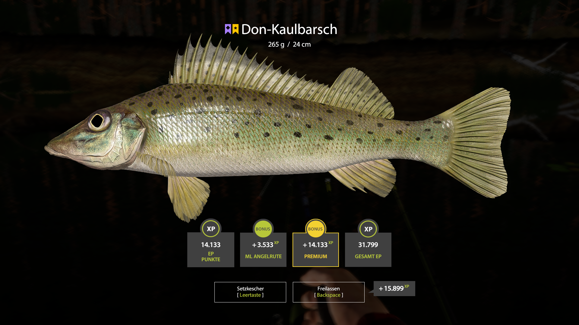 Trophy Winding Rivulet