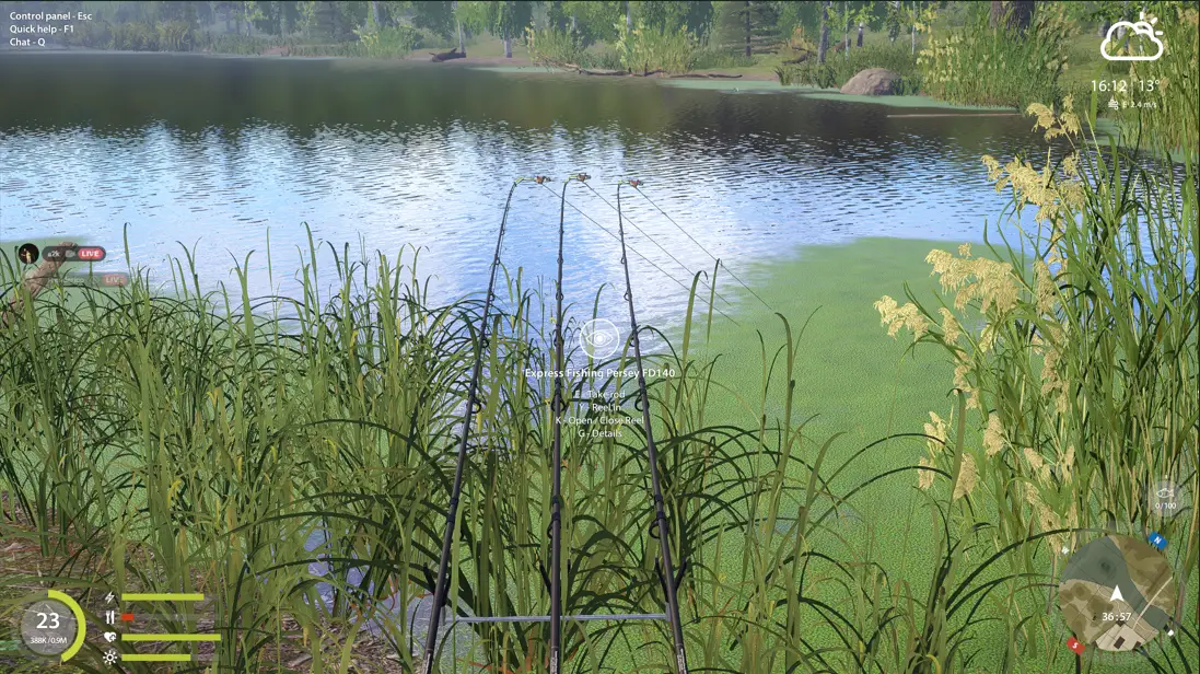 Eel | Other Countries | Bottom Fishing