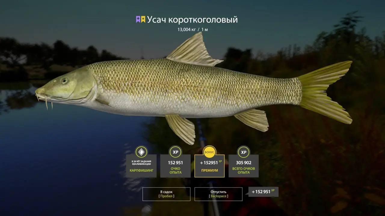 Trophy Akhtuba River
