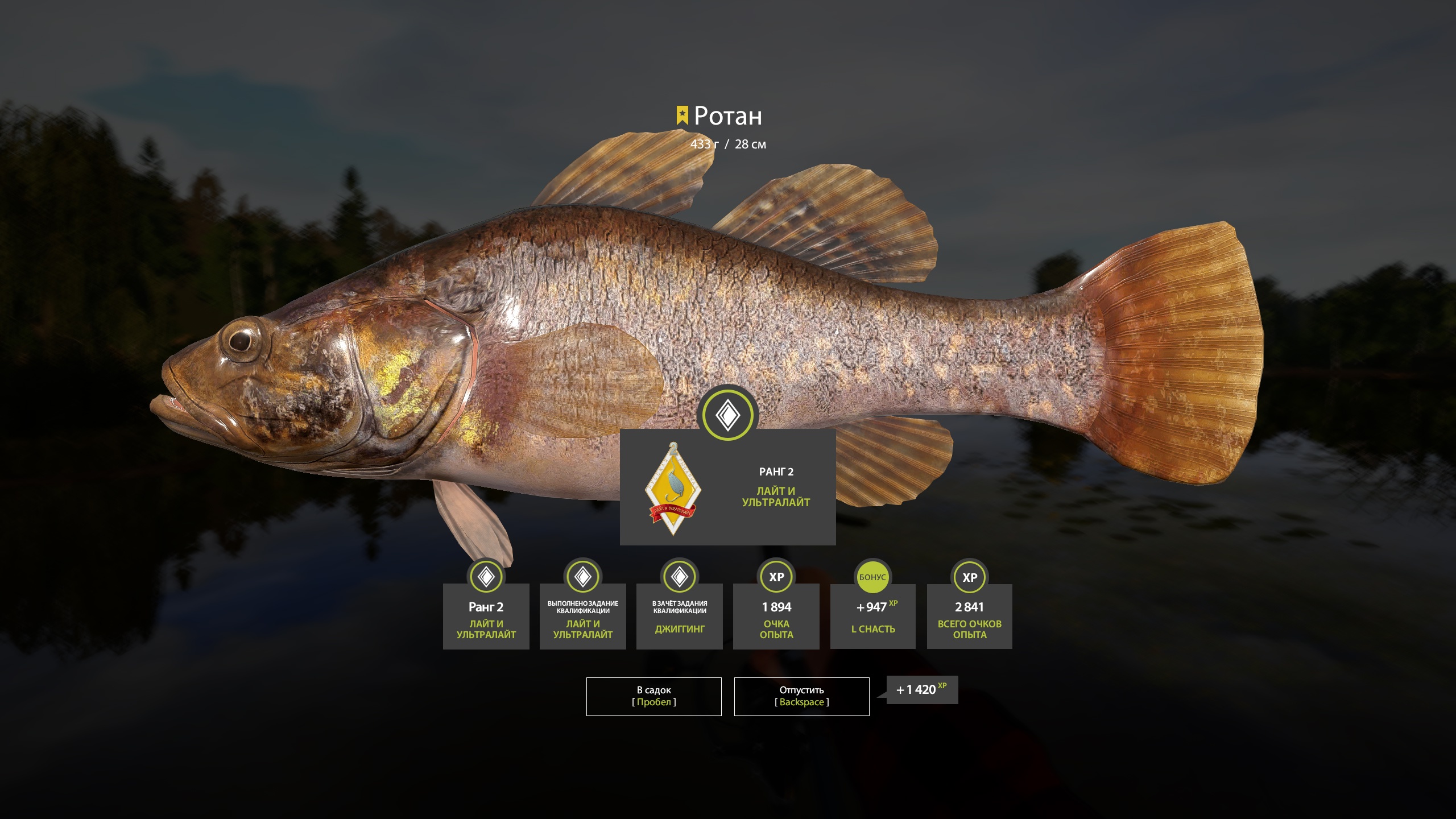 Trophy Mosquito Lake