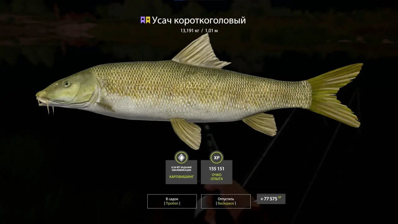 Trophy Akhtuba River