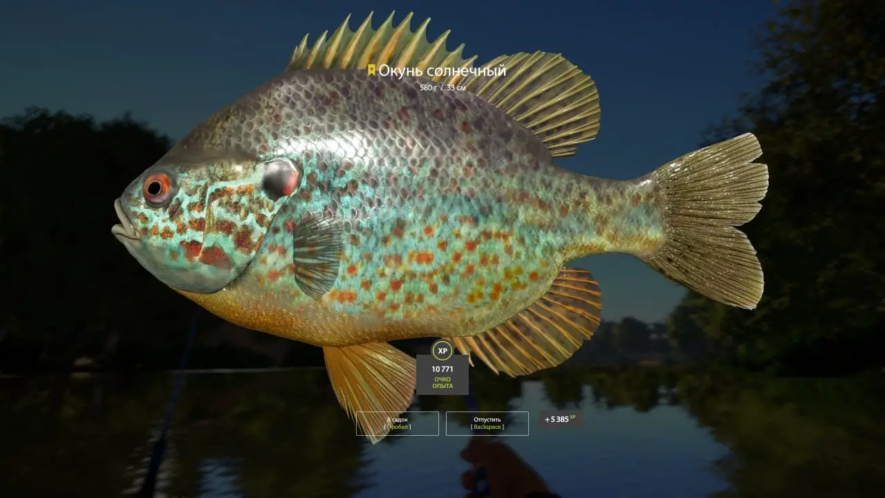 Trophy Seversky Donets River