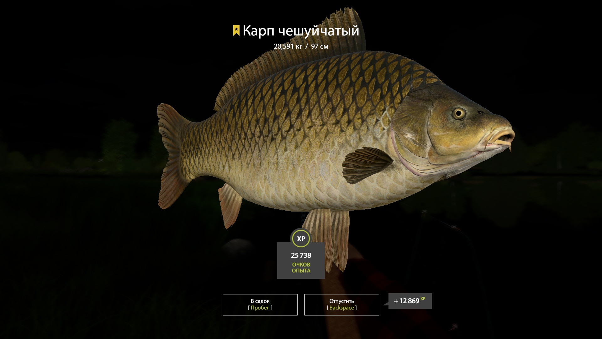 Trophy The Amber Lake