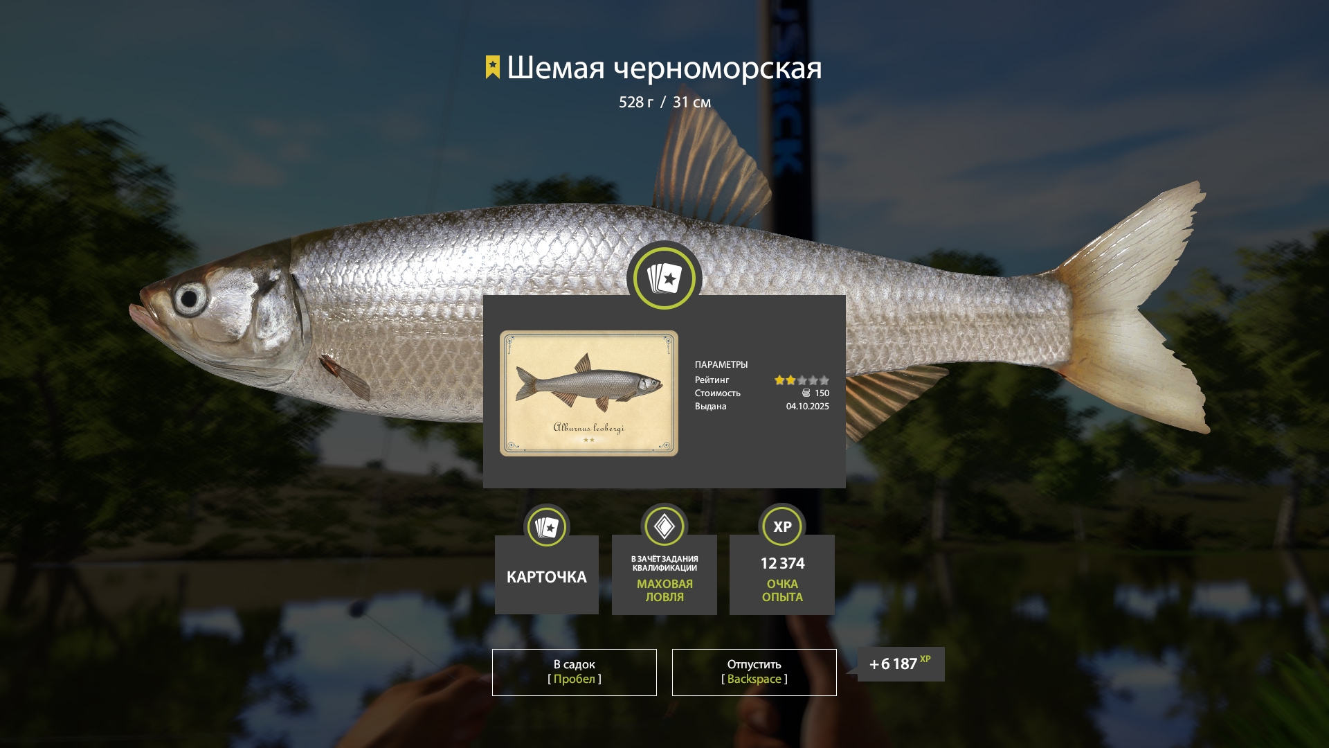 Trophy Seversky Donets River