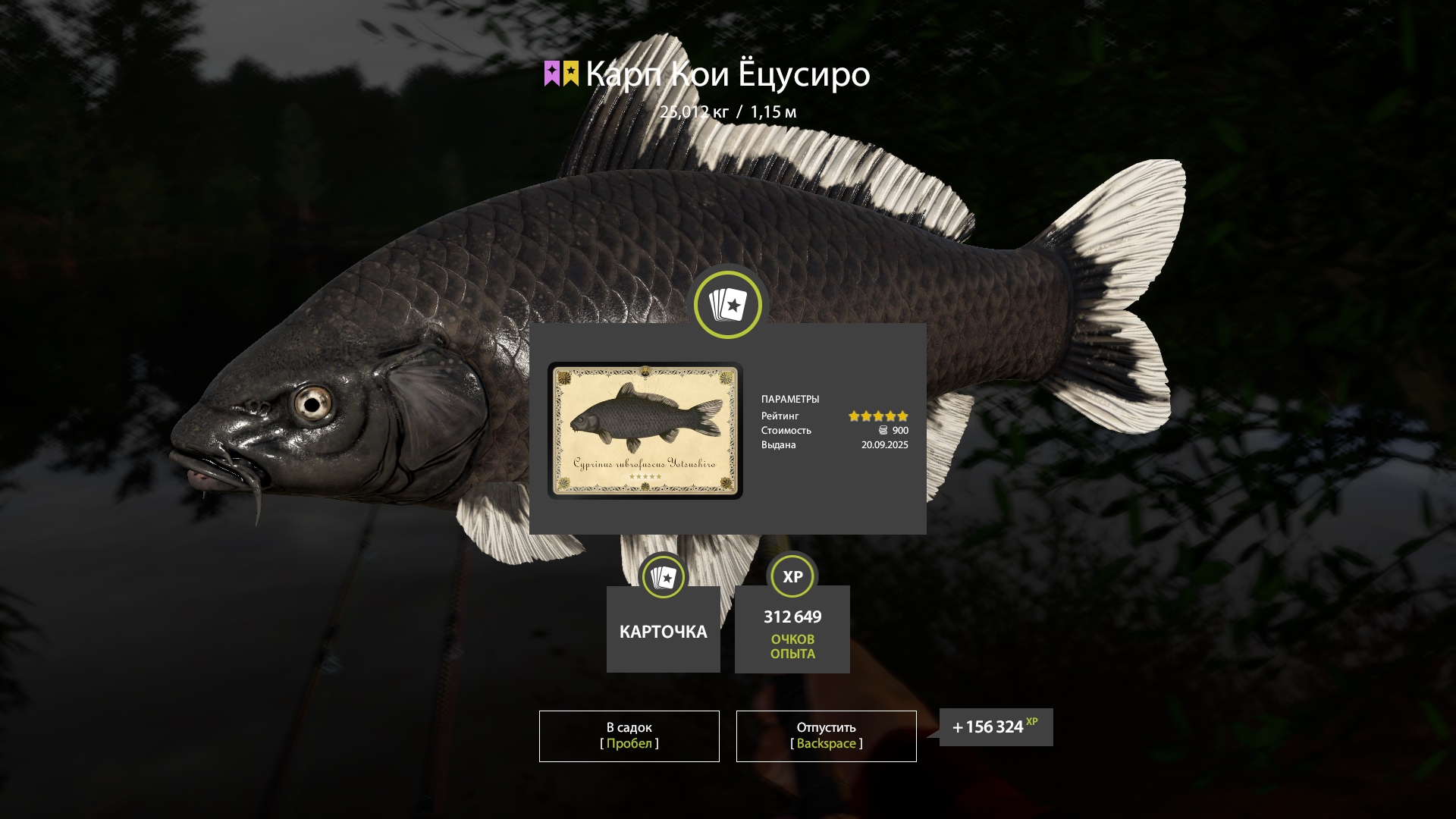 Trophy Copper lake