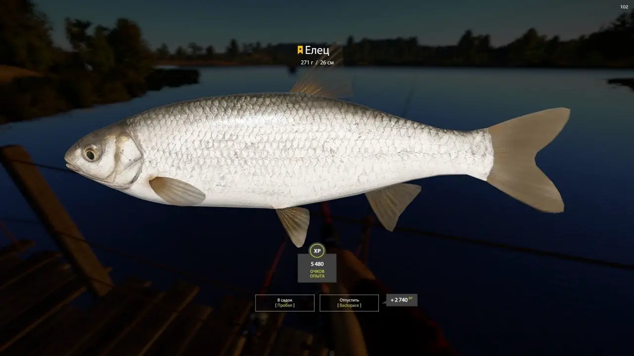 Trophy Volkhov River