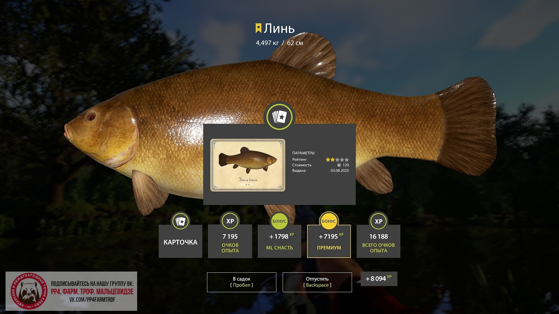 Trophy Copper lake