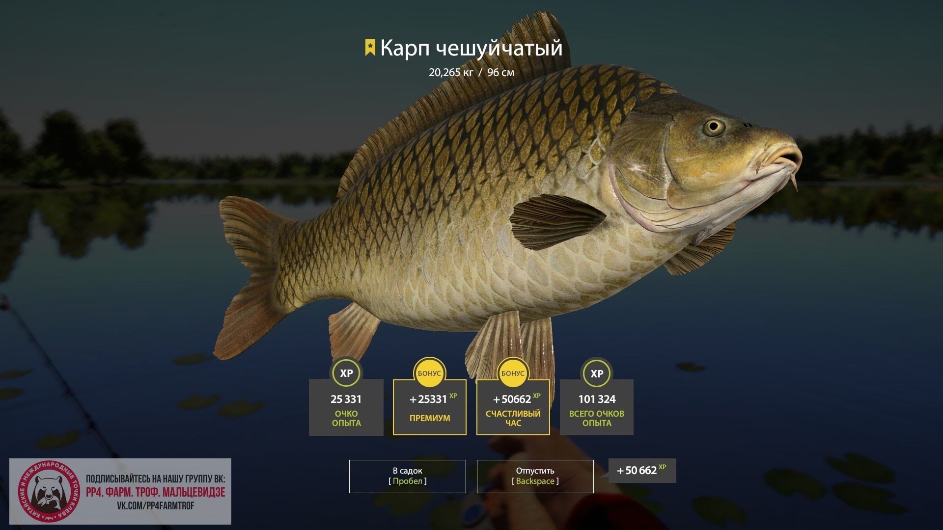 Trophy The Amber Lake
