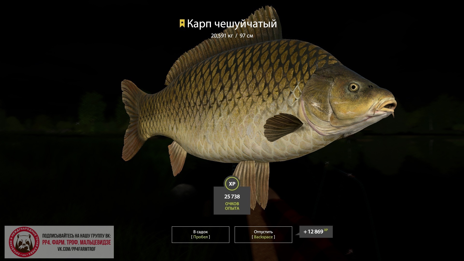 Trophy The Amber Lake