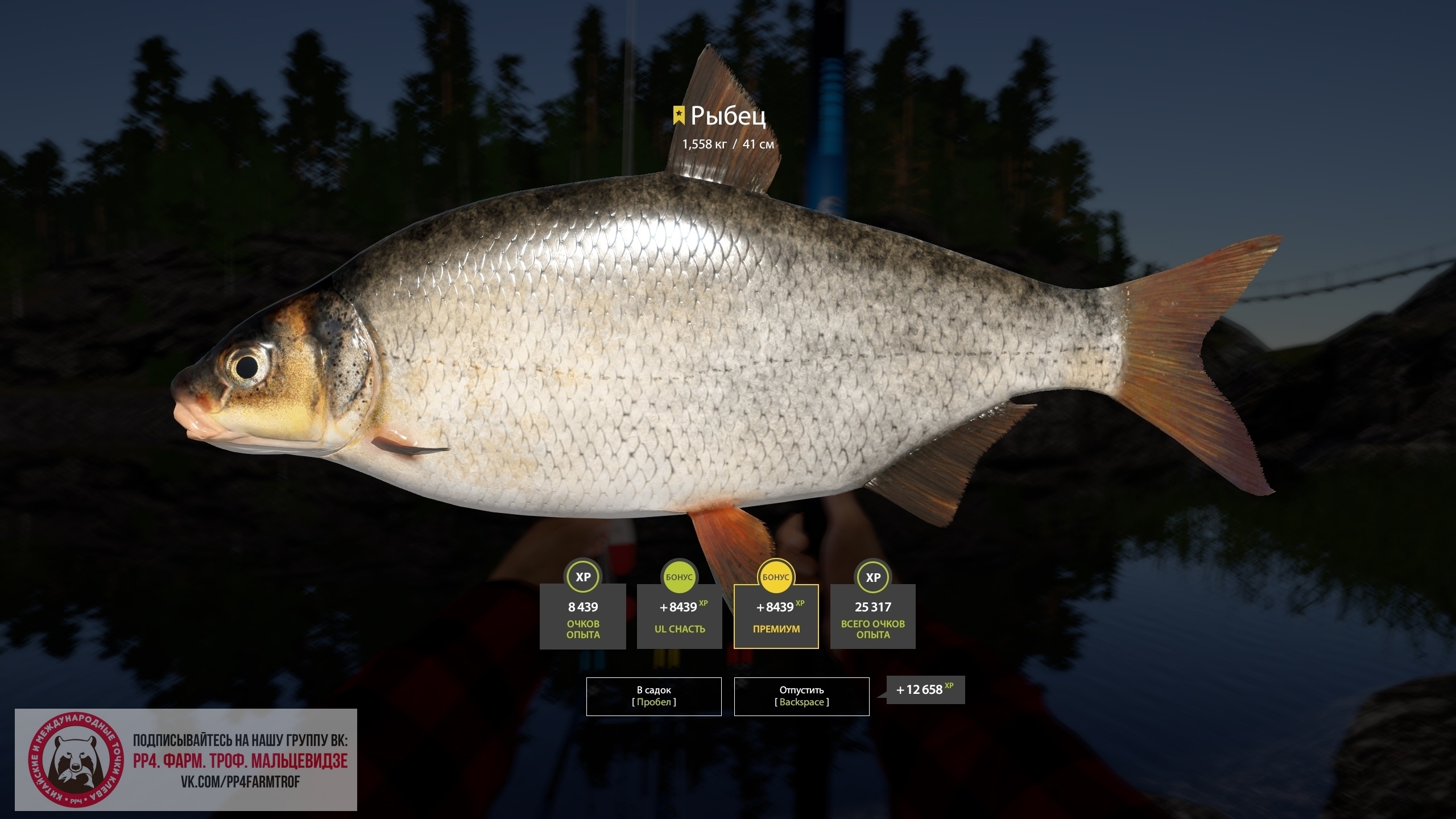 Trophy Ladoga Lake
