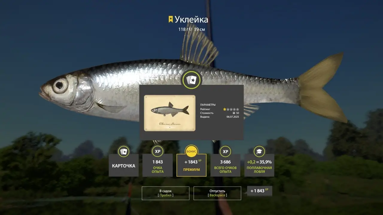 Trophy Winding Rivulet