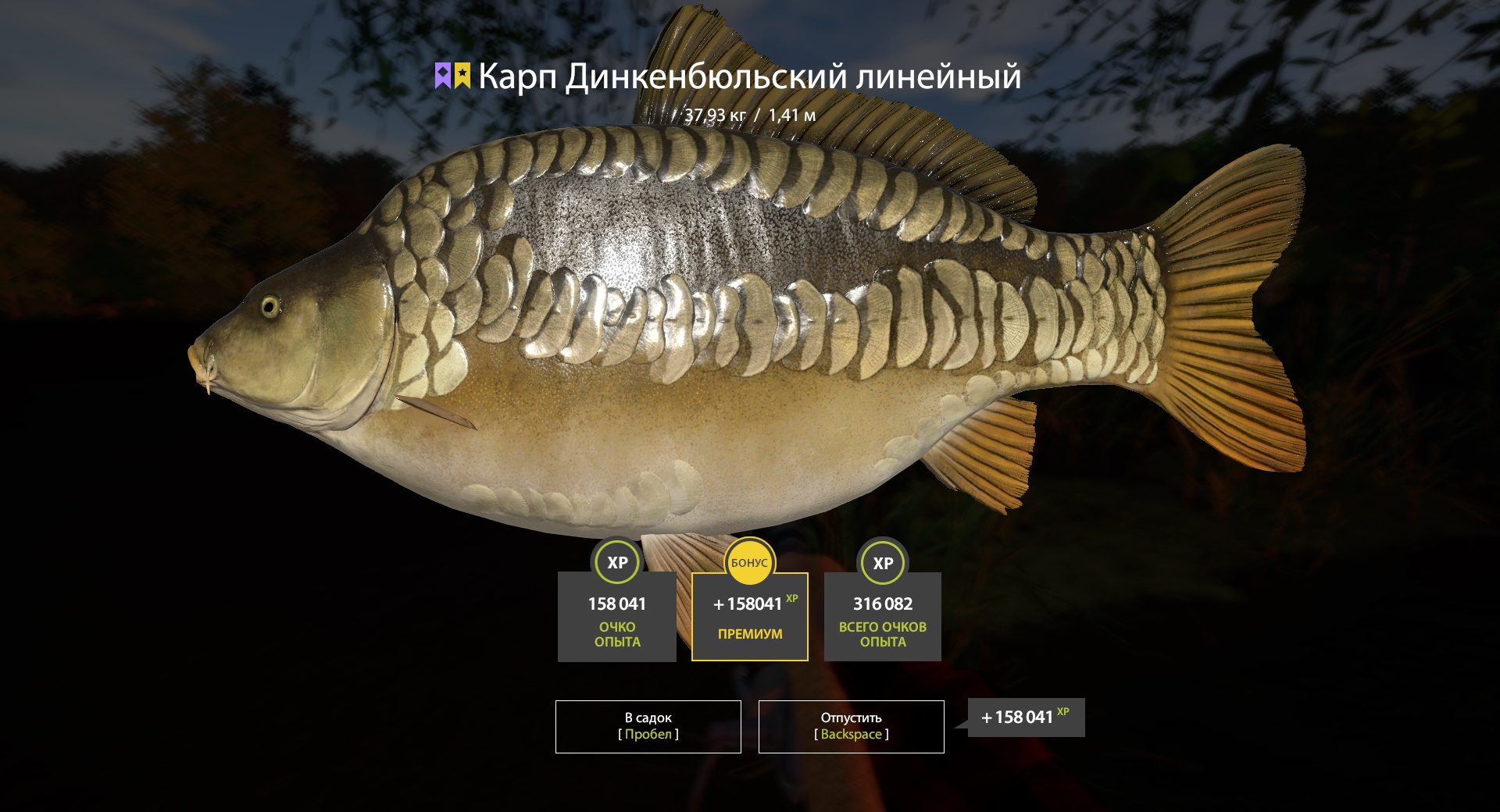 Trophy Copper lake