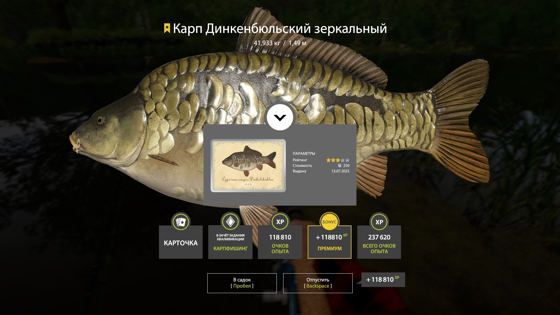 Trophy Copper lake
