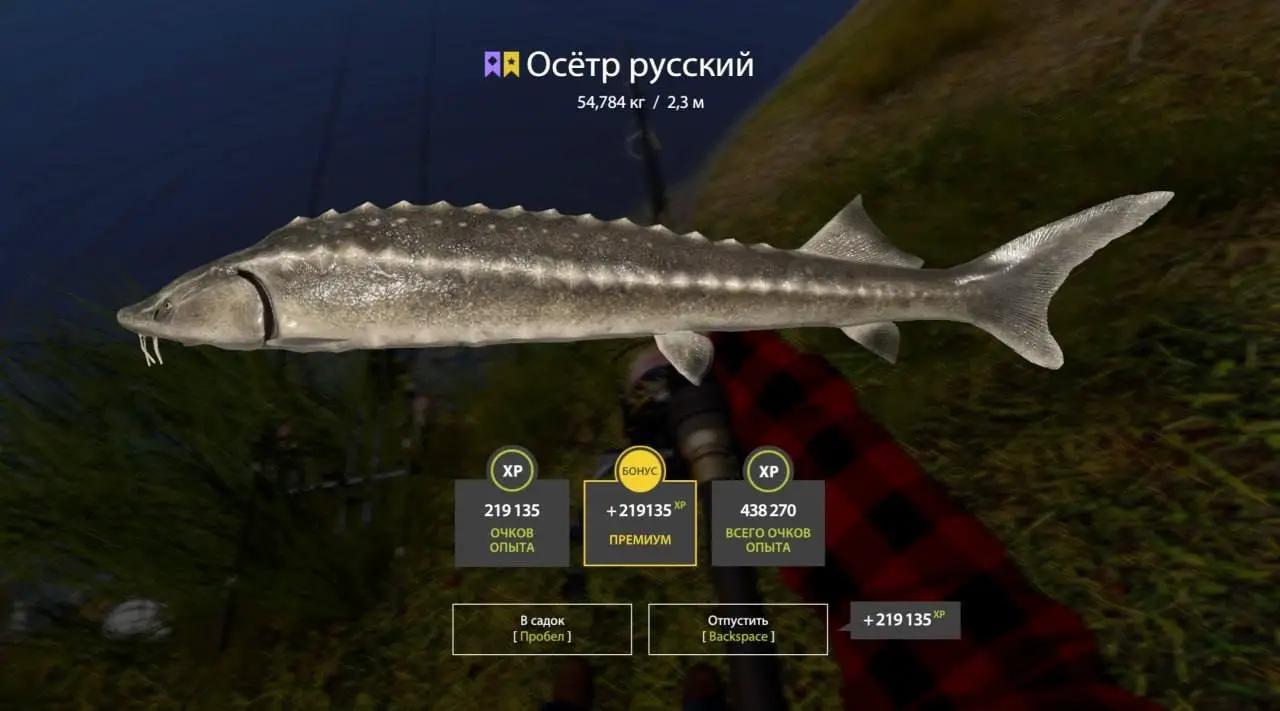 Trophy Akhtuba River