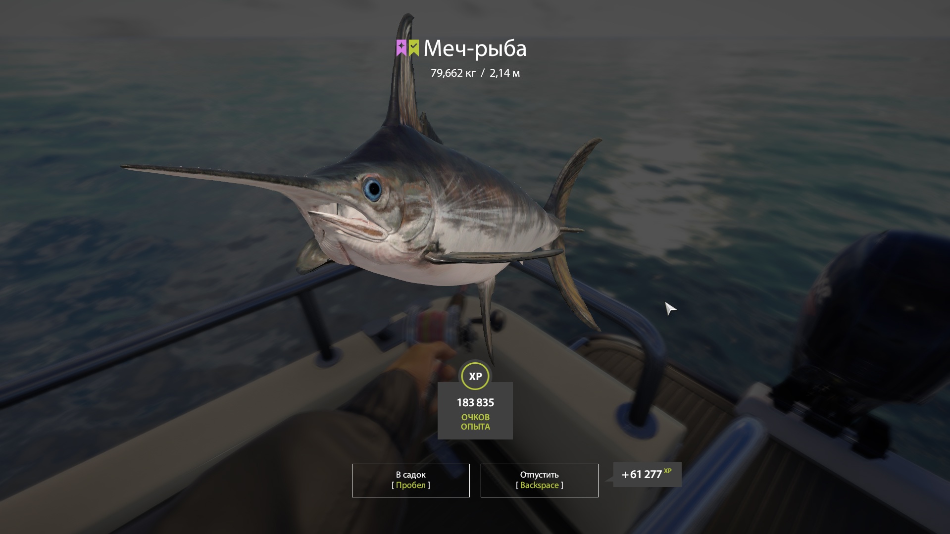 Trophy Norwegian Sea