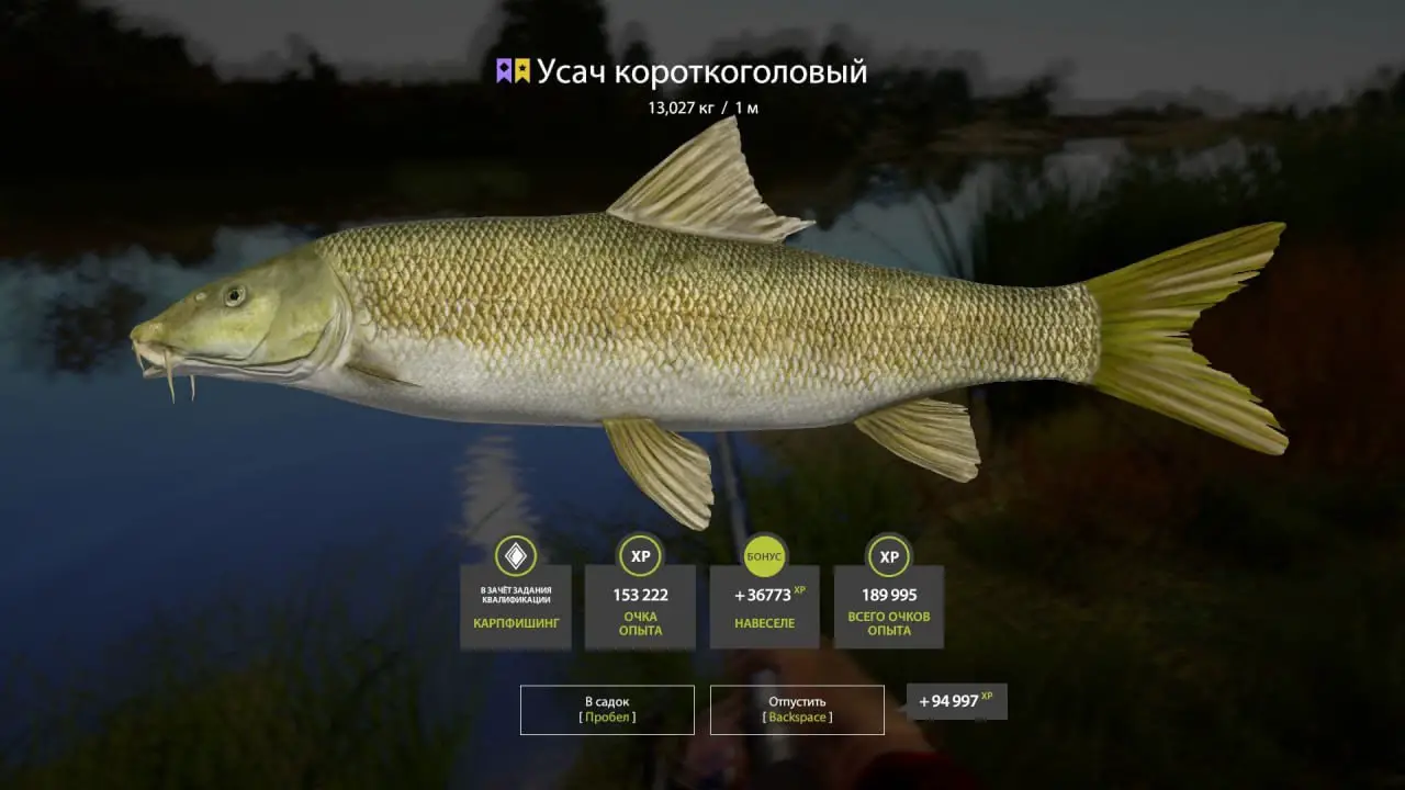 Trophy Akhtuba River
