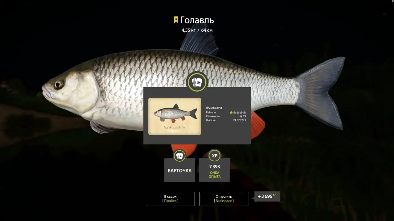 Trophy Winding Rivulet