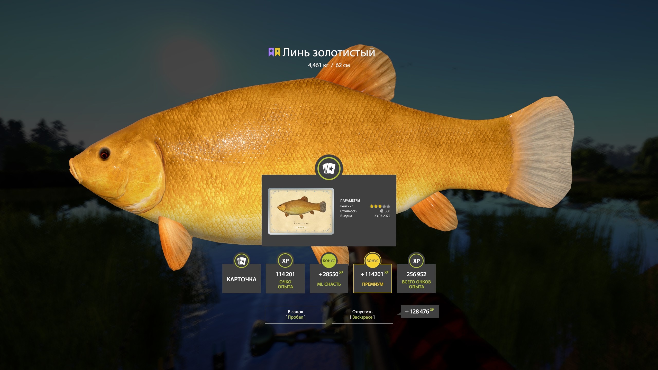 Trophy Bear Lake
